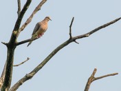 Horicon National Wildlife Refuge