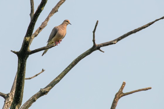 Horicon National Wildlife Refuge