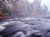 Foggy river 
