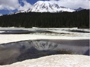 Mount Rainier National Park