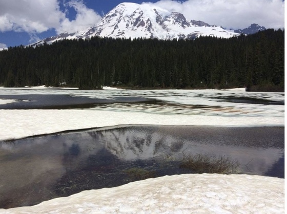 Mount Rainier National Park