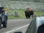 Grand Teton National Park