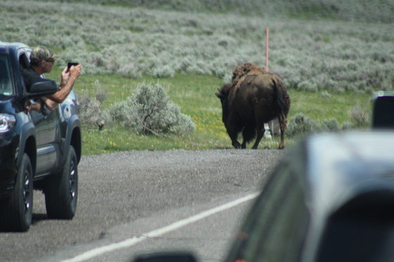 Grand Teton National Park