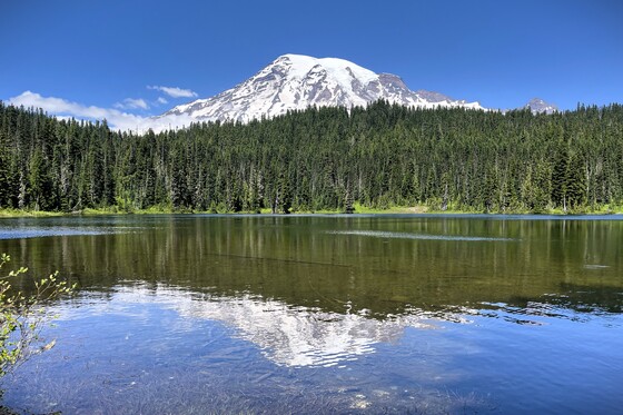 Mount Rainier National Park