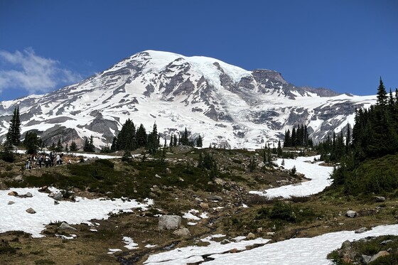 Mount Rainier National Park