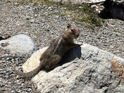 Mount Rainier National Park