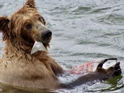 Katmai National Park