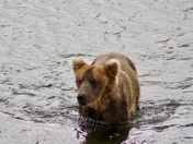 Katmai National Park