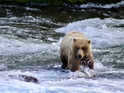 Katmai National Park