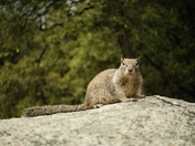Yosemite National Park 