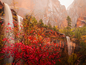 Zion National Park