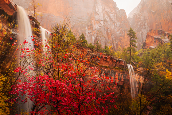 Zion National Park