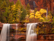 Zion National Park