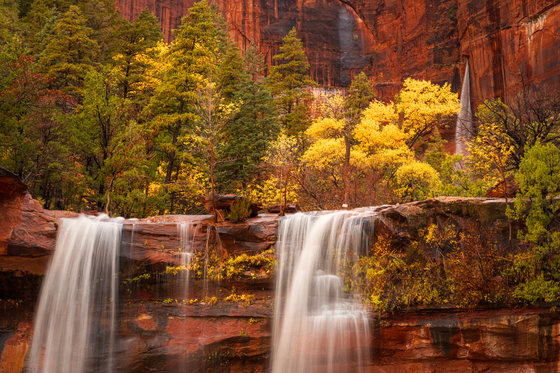 Zion National Park