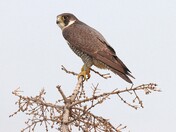 An amazing encounter.