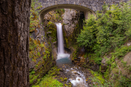 Mt Rainier National Park