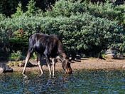 Brainard Lake Recreation area