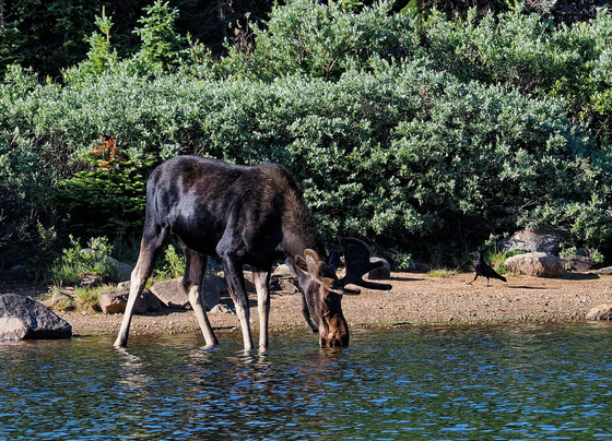Brainard Lake Recreation area