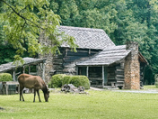 Great Smoky Mountains National Park