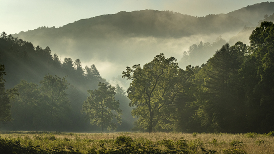 Great Smoky Mountains National Park