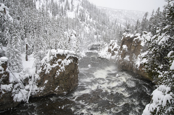 Yellowstone National Park