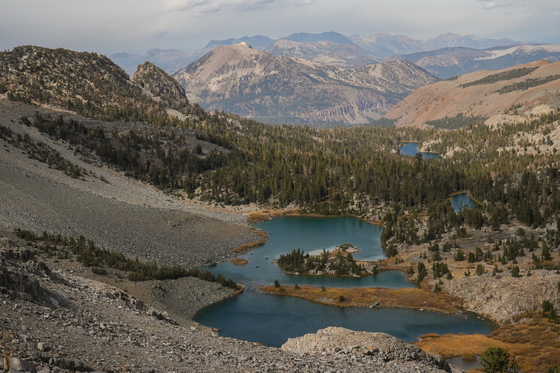 Inyo National Forest