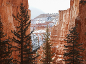 Bryce Canyon National Park