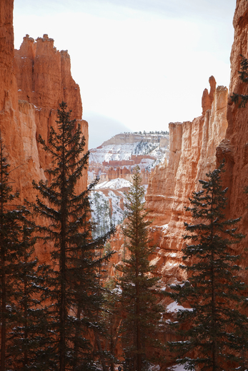 Bryce Canyon National Park