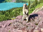 Glacier National Park