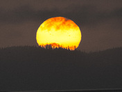 Sunset tree silhouettes, over North Vancouver Island