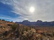 Red Rock Canyon National Conservation Area 