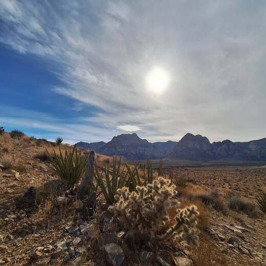 Red Rock Canyon National Conservation Area 