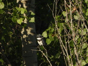 Sortie (hiking)du 23 juillet 2025 , 16°C