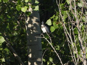 Sortie (hiking)du 23 juillet 2025 , 16°C