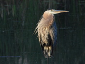 Sortie (hiking)du 23 juillet 2025 , 16°C