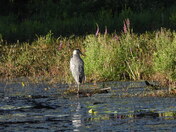 Sortie (hiking)du 23 juillet 2025 , 16°C
