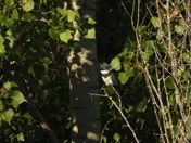 Sortie (hiking)du 23 juillet 2025 , 16°C