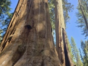 Sequoia National Park