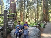 Sequoia National Park