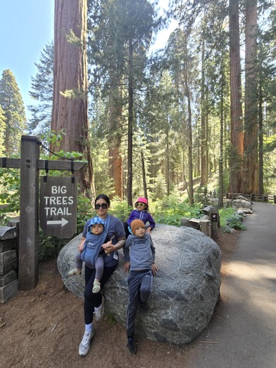 Sequoia National Park