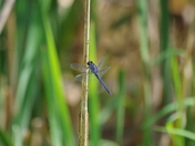 Chesapeake & Ohio Canal National Historical Park
