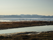 Pêcher à l’heure où le temps s’étire