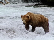 Katmai 