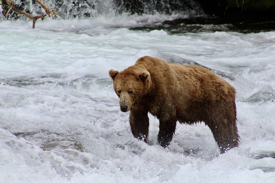 Katmai 