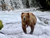 Katmai