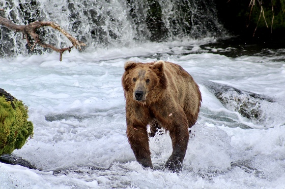 Katmai