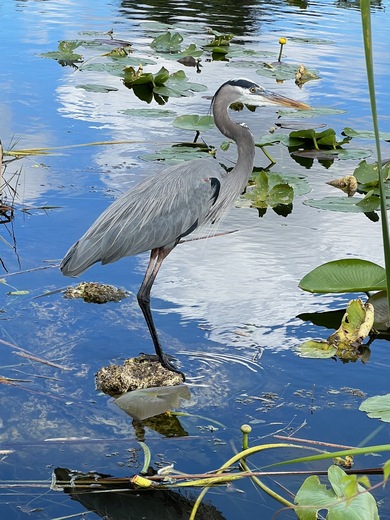 Everglades National Park