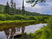 Almost perfect reflection in the Quebec wilderness