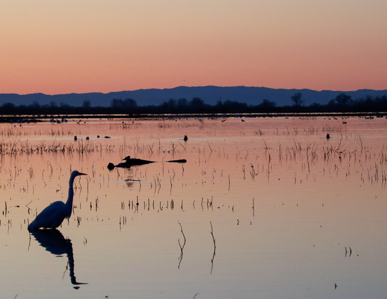 Merced  National Wildlife Refuge 