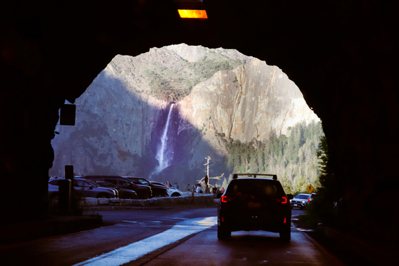 Yosemite National Park 